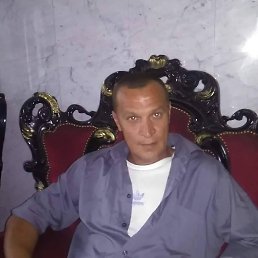 , 41 , 