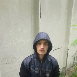 , 29 , 