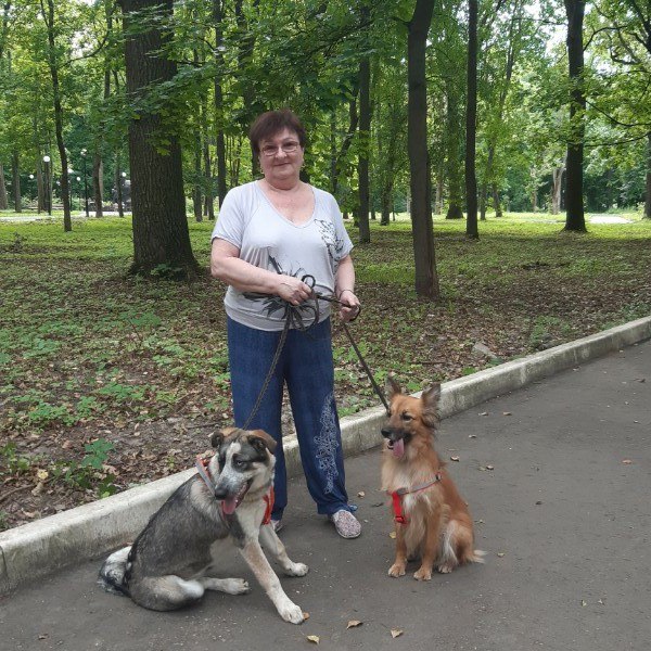 Джетта щекино горшки