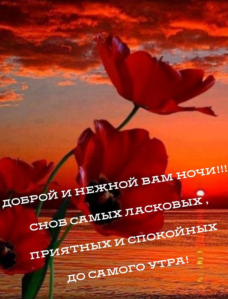 ПРИВЕТСТВИЯ и ПОЖЕЛАНИЯ, открытки на каждый день., №2229013005 ...