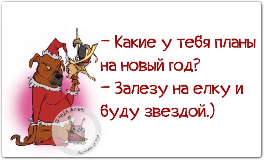 Смешные планы на жизнь