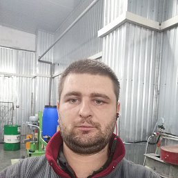ДМИТРО, 29 лет, Реутов