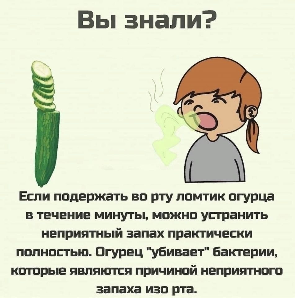 В Пекине подают огурец к утке и луку, что бы потом <b>запах</b> убивать, №22560946...