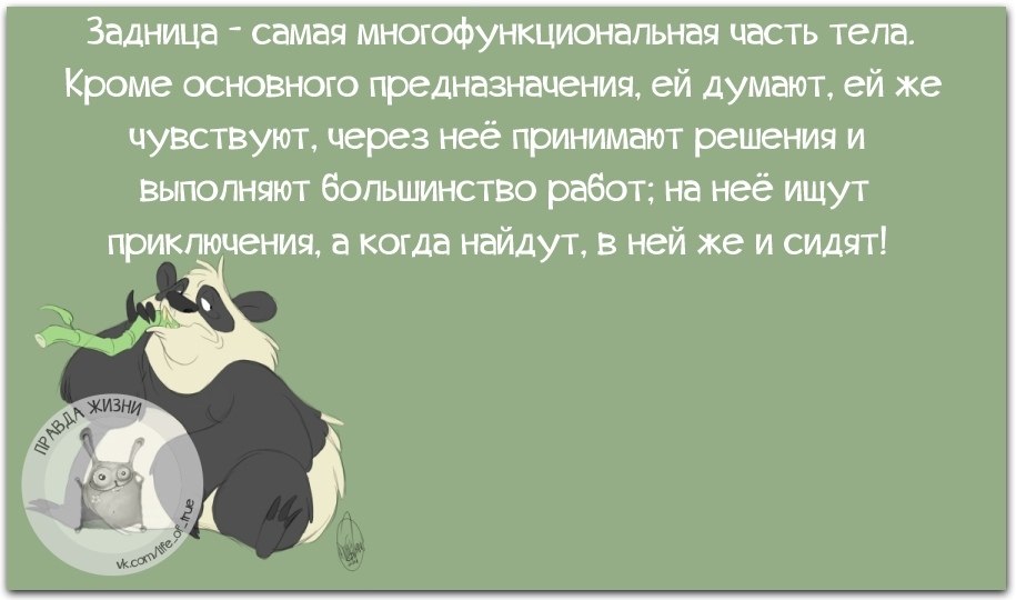 Мыши плакали кололись но продолжали жрать кактус картинка