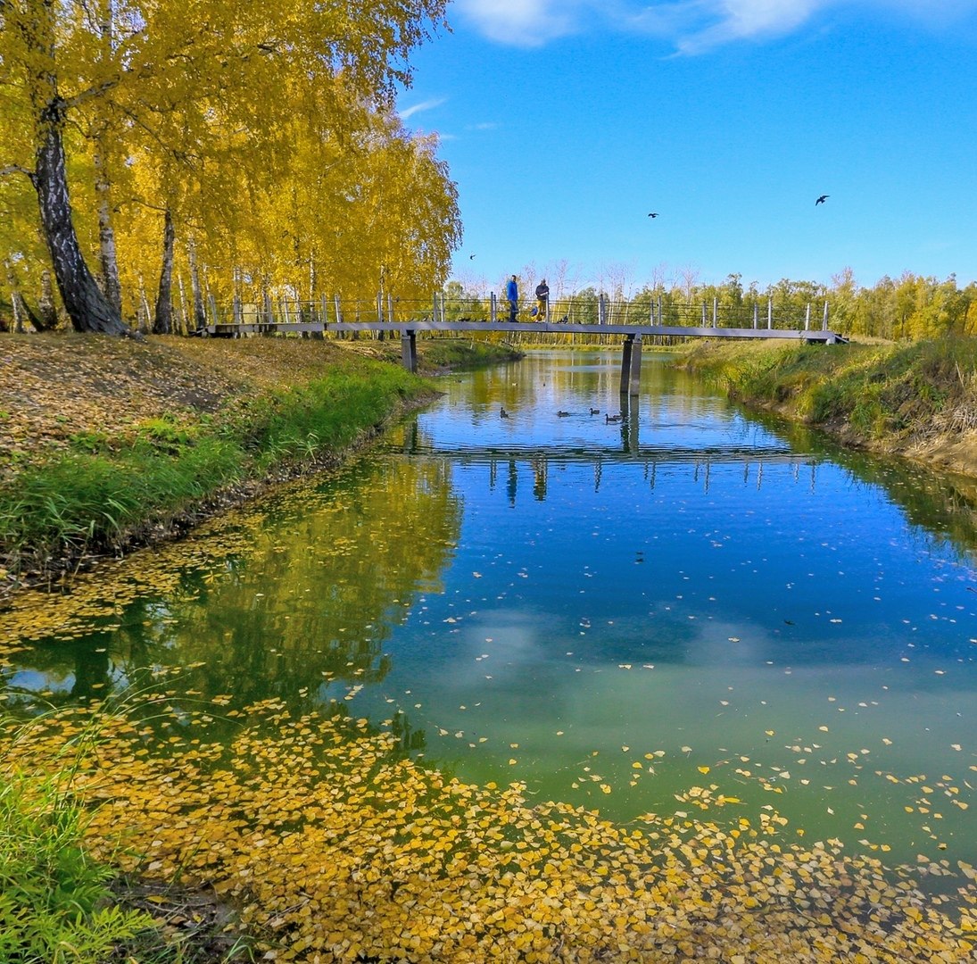 Красивая осень Омск