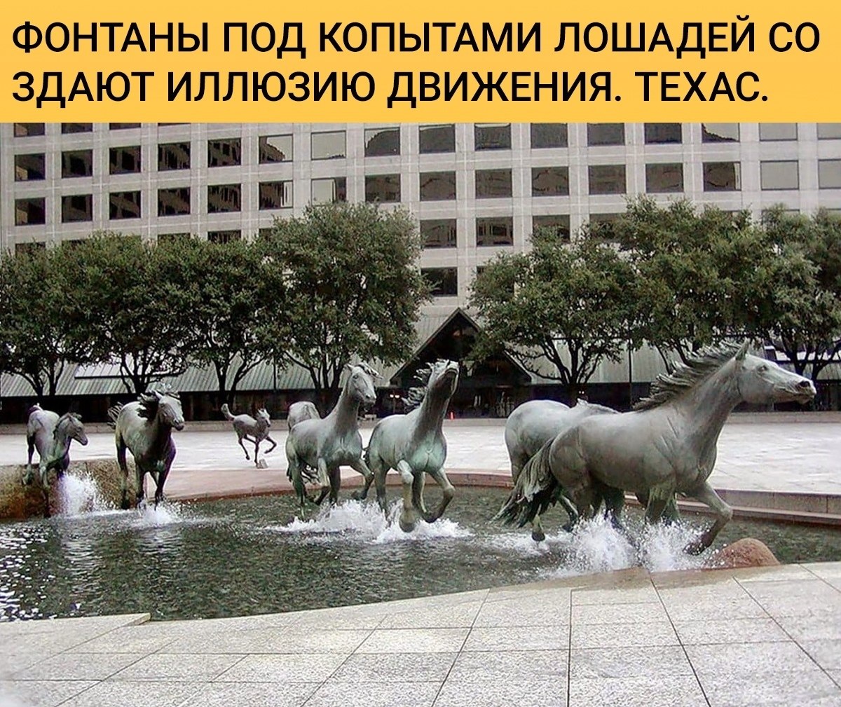 Мустанги лас колинаса сша