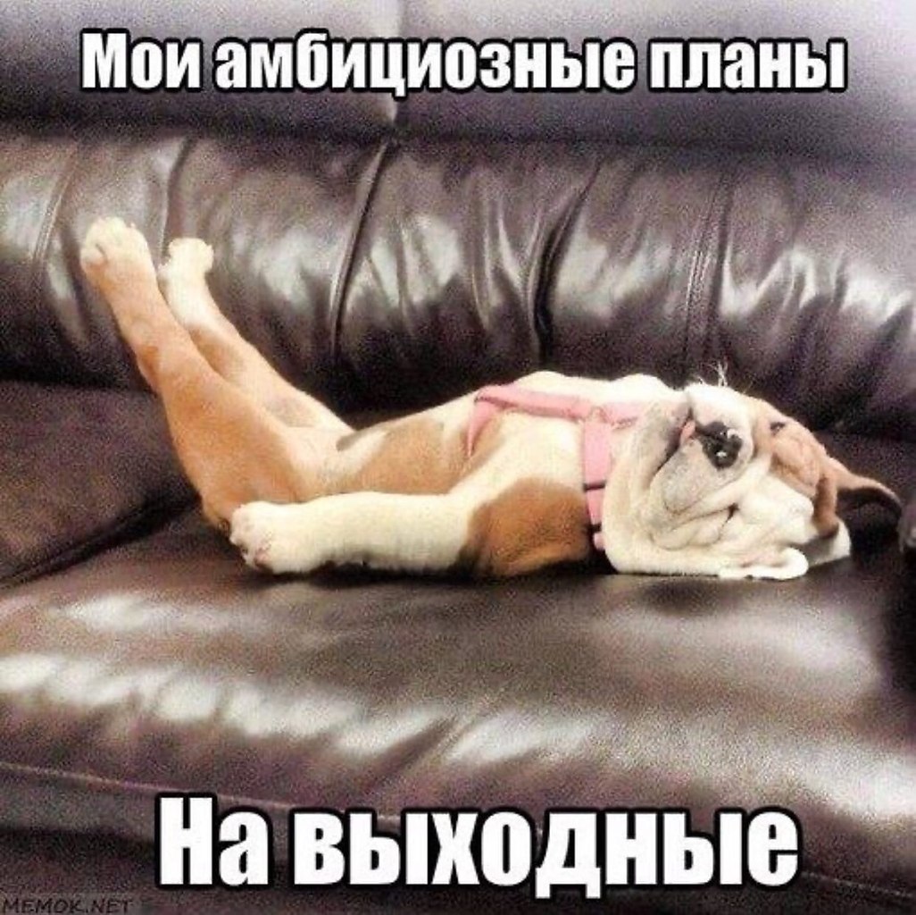 Фото Устала Очень