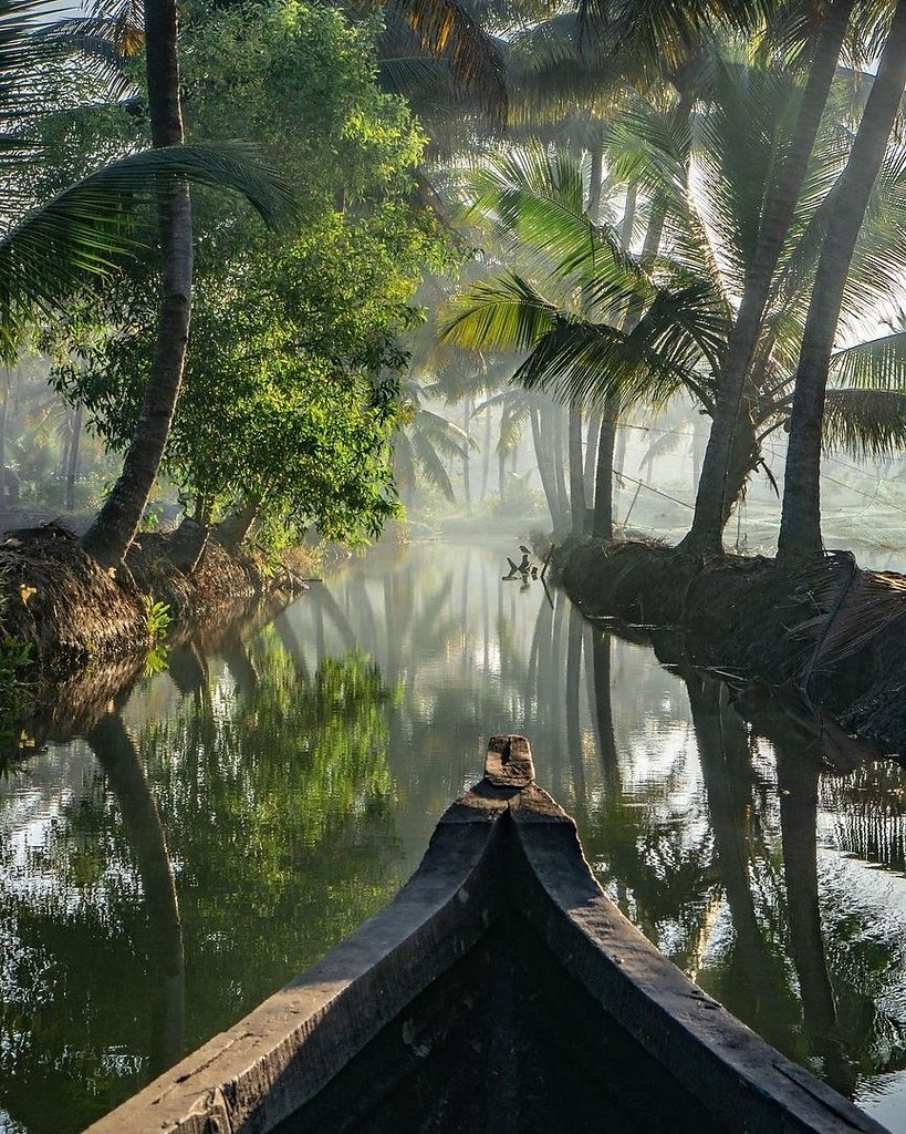 Жизнь в джунглях Индии