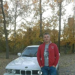 , 33, 