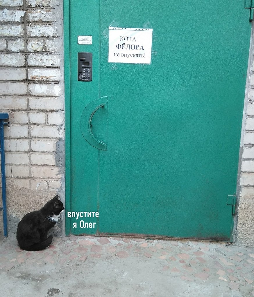 Котп Федоа не пускать я Олег