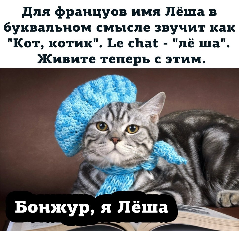 Леша на французском картинка