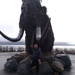 , 53, 