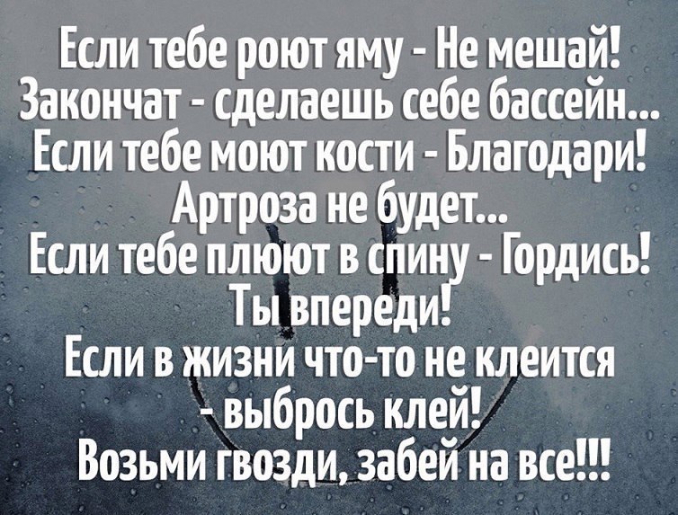 Если тебе роют яму не мешай закончат сделаешь себе бассейн картинки