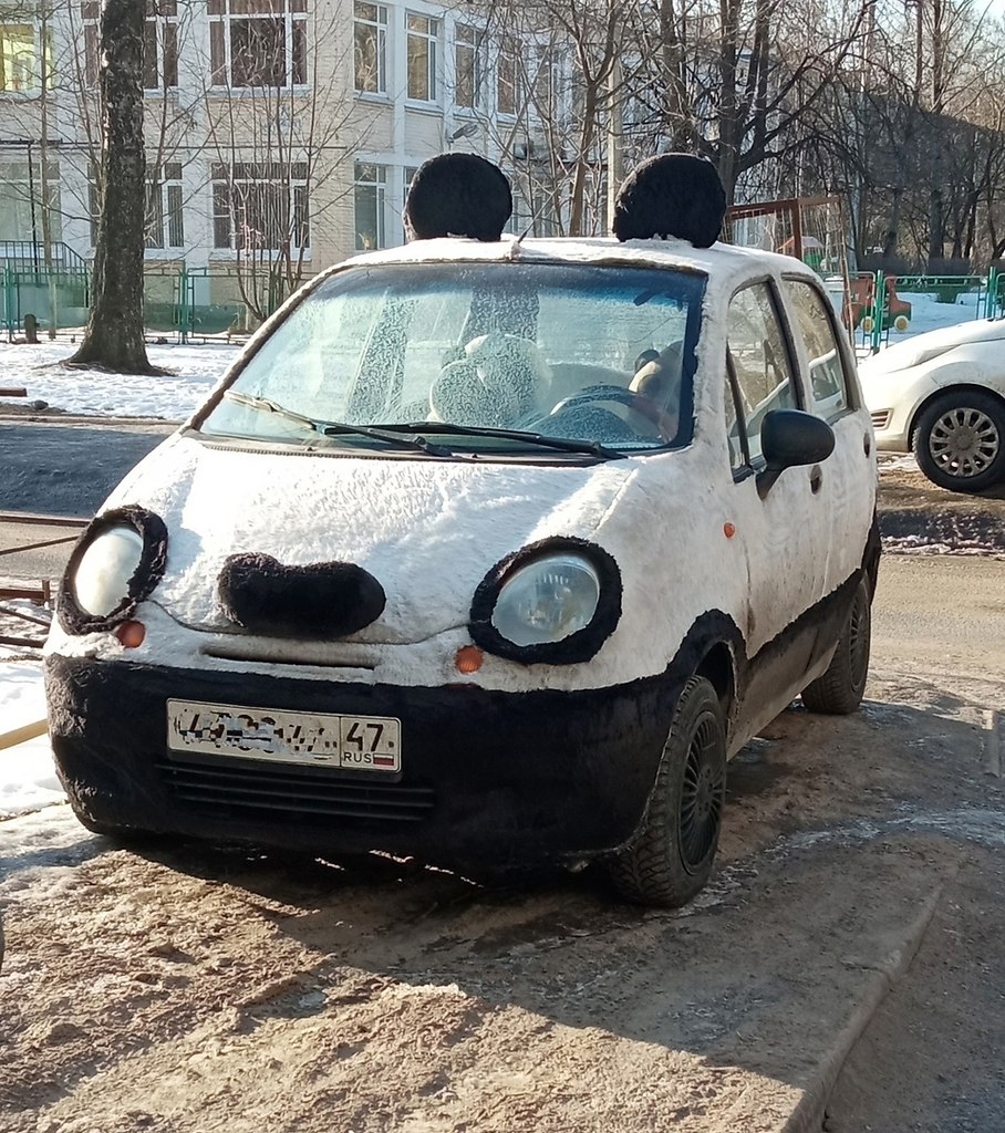 Панда в машине прикол