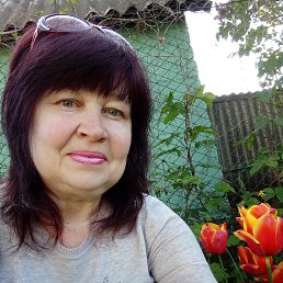 , 55 , 