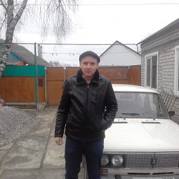 , 30, 