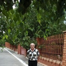 , 67, 