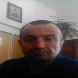 , 54 , 