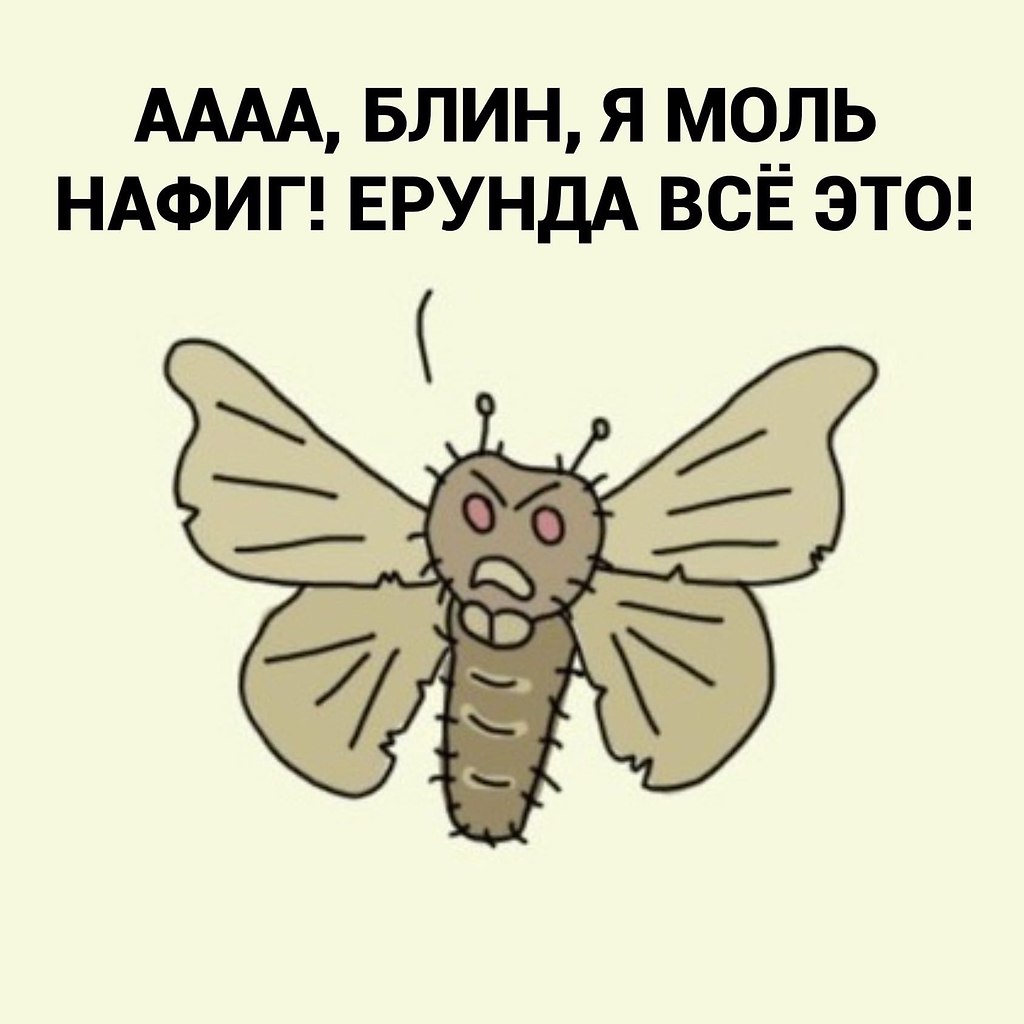 Моль пожилая с видом. Моль прикол. Мемы про мотылька и лампу. Венесуэльский пуделевый мотылек. Моль шубная.