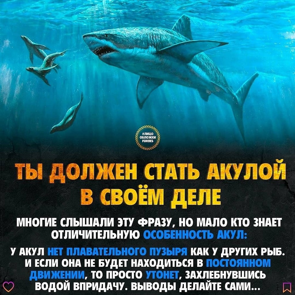 Не хочешь тонуть топи