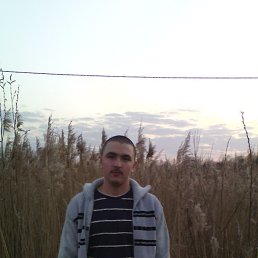 Alexey, 26 лет, Тутаев