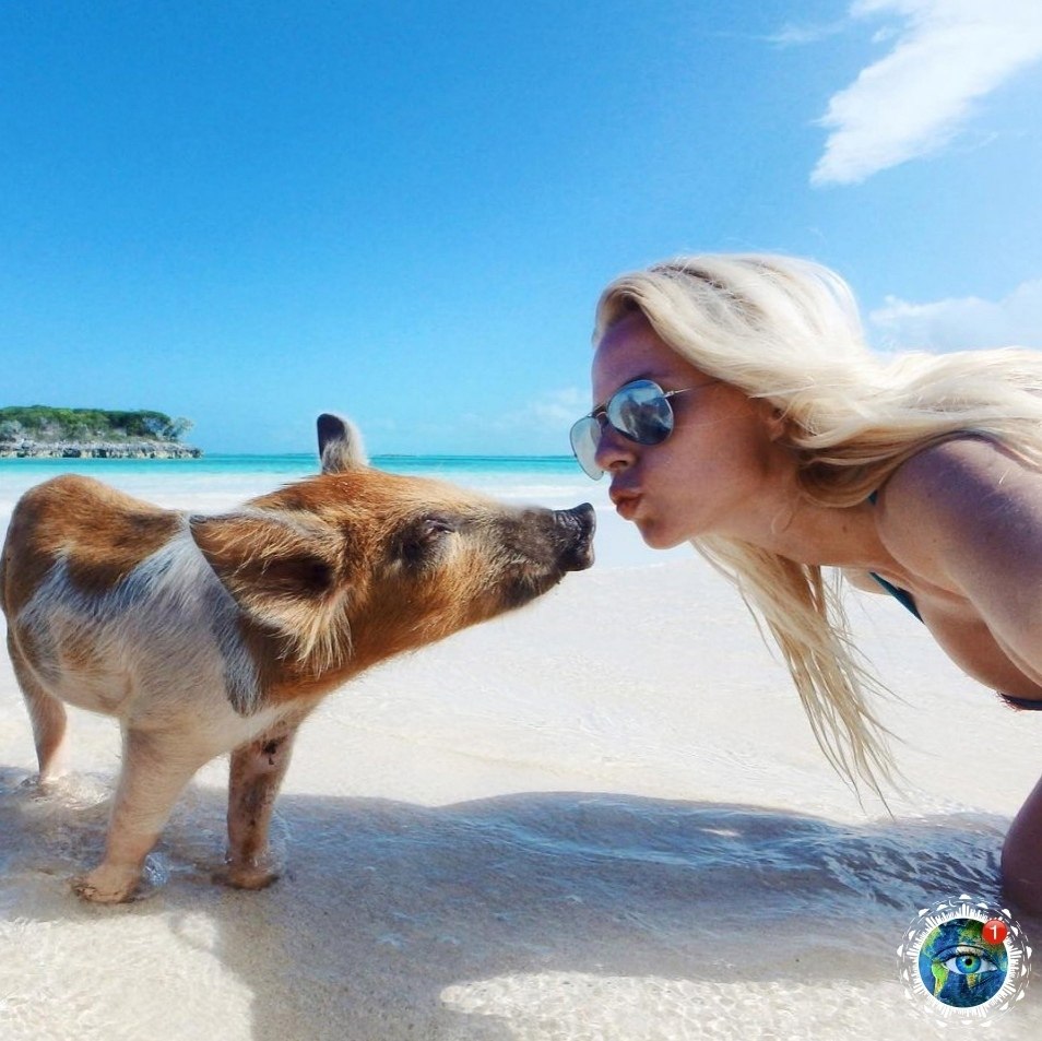 Pig Beach Багамы
