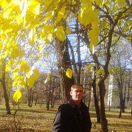, 50 , 