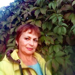 , 62 ,  