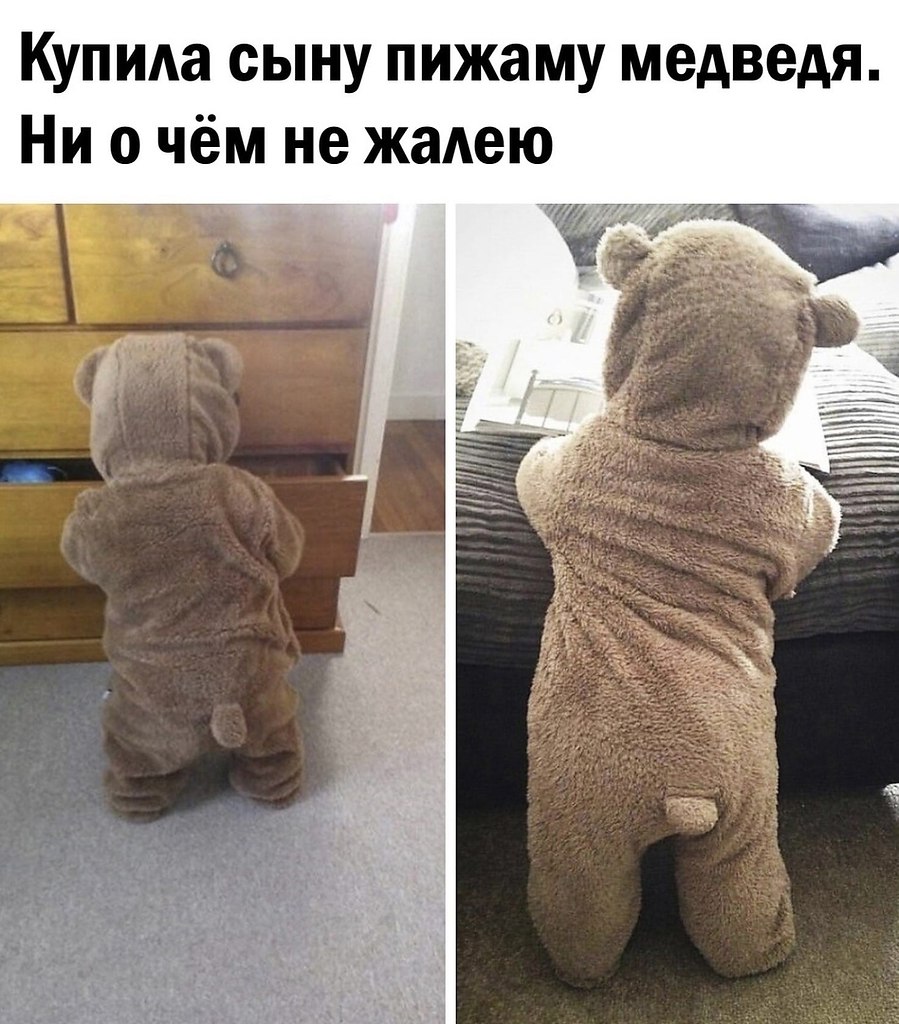 Медведь в пижаме