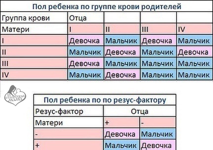 План матери или брасида