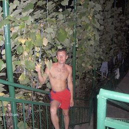 алексей, 45 лет, Кострома