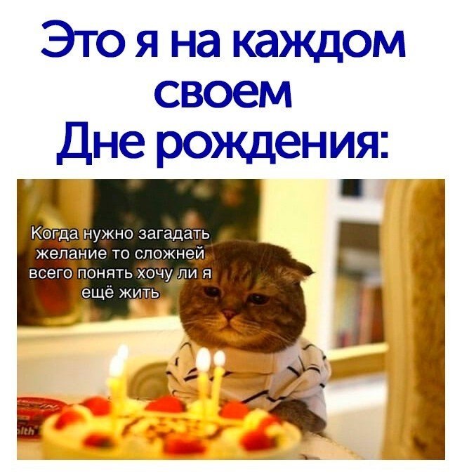 Совсем желанием. Вкусовые кошечки. Картинки с днём рождения. Торты на день рождения праздники. Животные помощники человека.