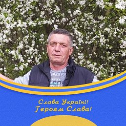 , 61 , 