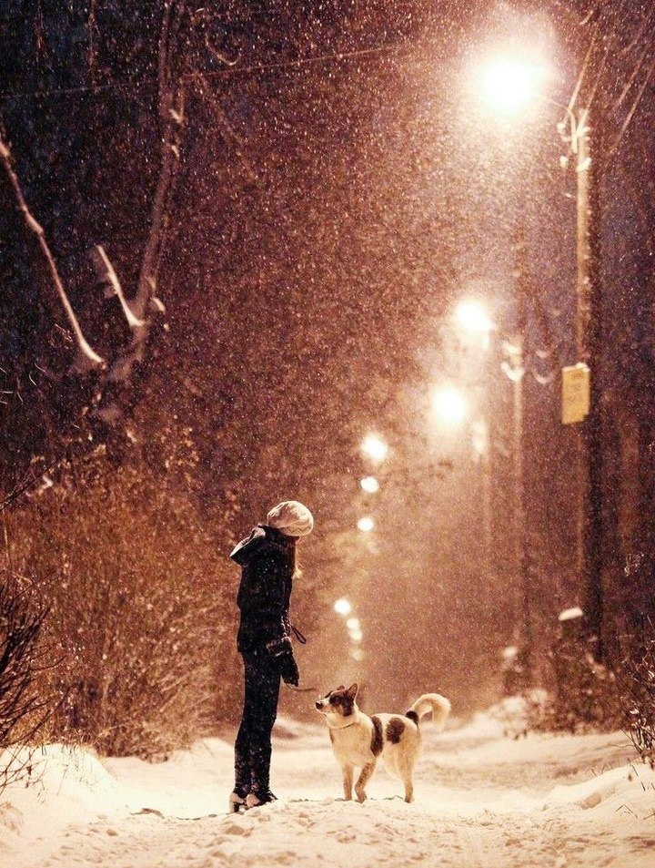 Обожаю выйти на улицу зимой вечером, а там так спокойно, тихо, чистый скрипящий снег. - 2