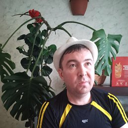 Роман, 39 лет, Воронеж