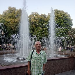 , 67 , 