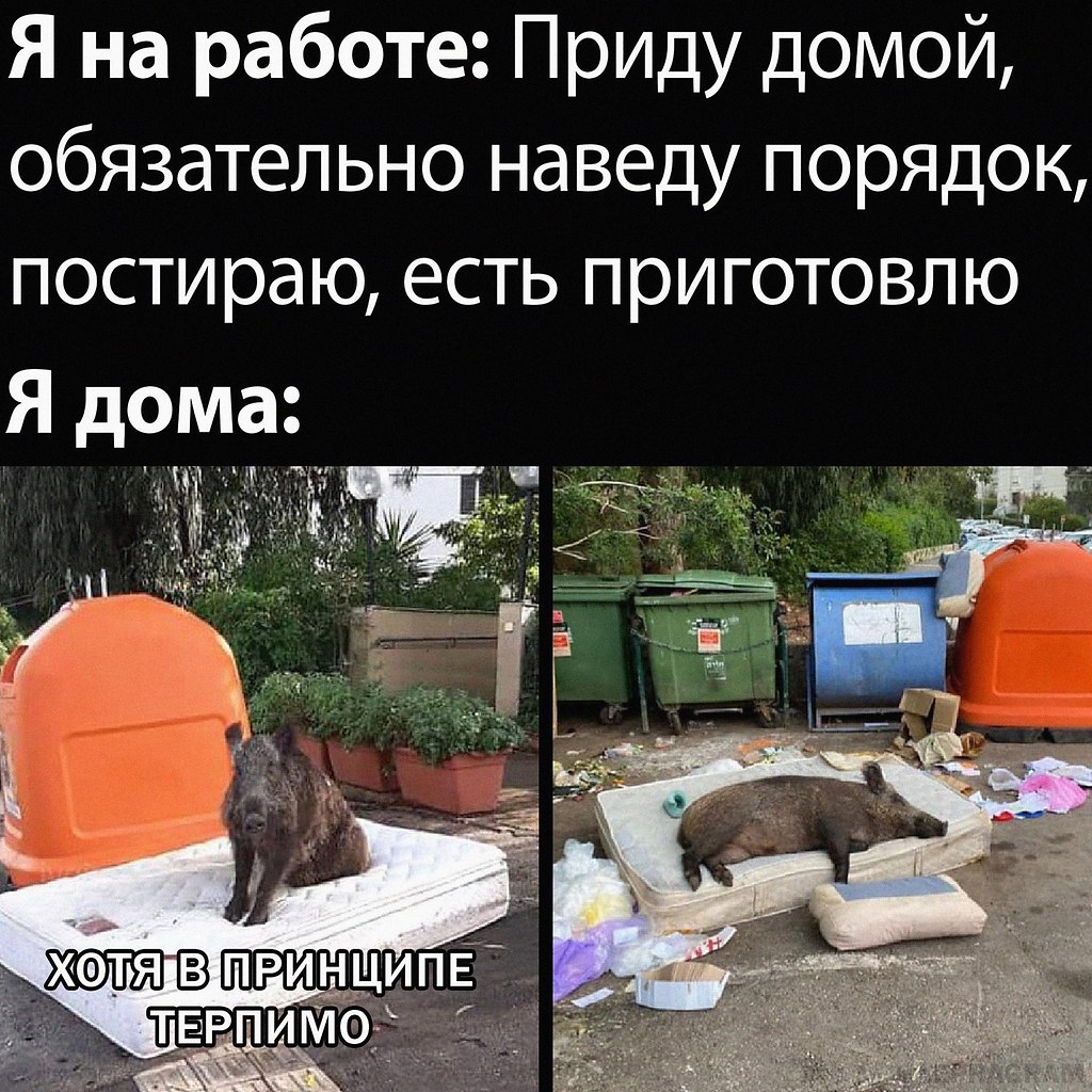 Я Не Приду Мем
