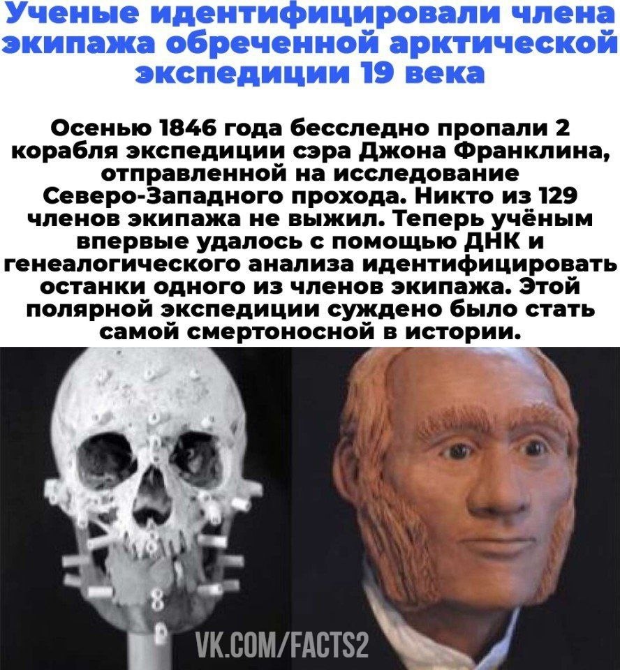 Идентификация останков. Черепа царской семьи романовых. Останки романовых в екатеринбурге. Идентификация останков. Останки царской семьи череп николая 2.