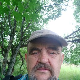 Дмитрий, 62 года, Пересвет