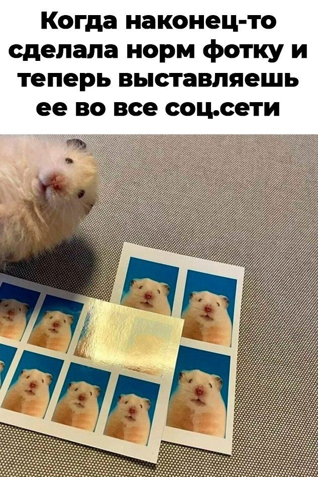 Но спустя день тебя начинает тошнить от этой фотки ... - НОЧЬ ...