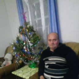 , 41 , 