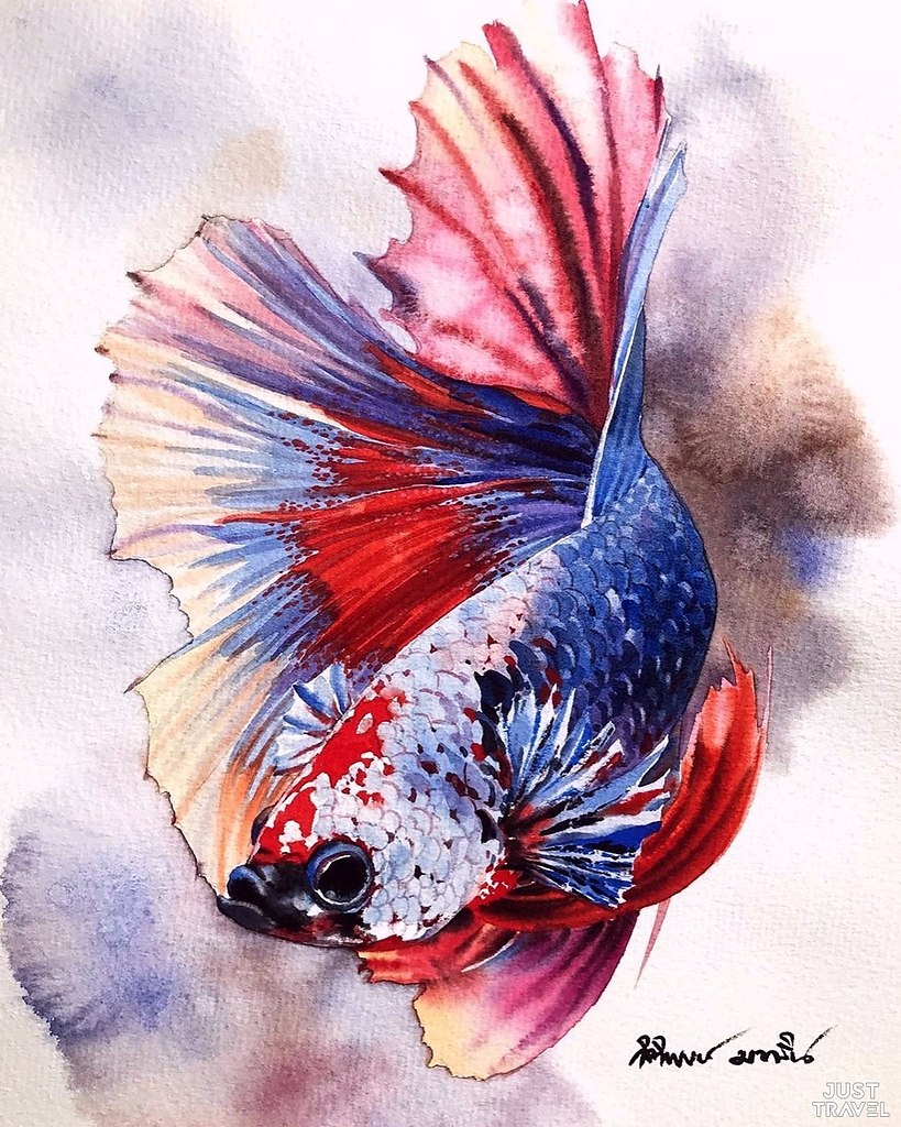 Kitipong_Maksin_artist рыбки
