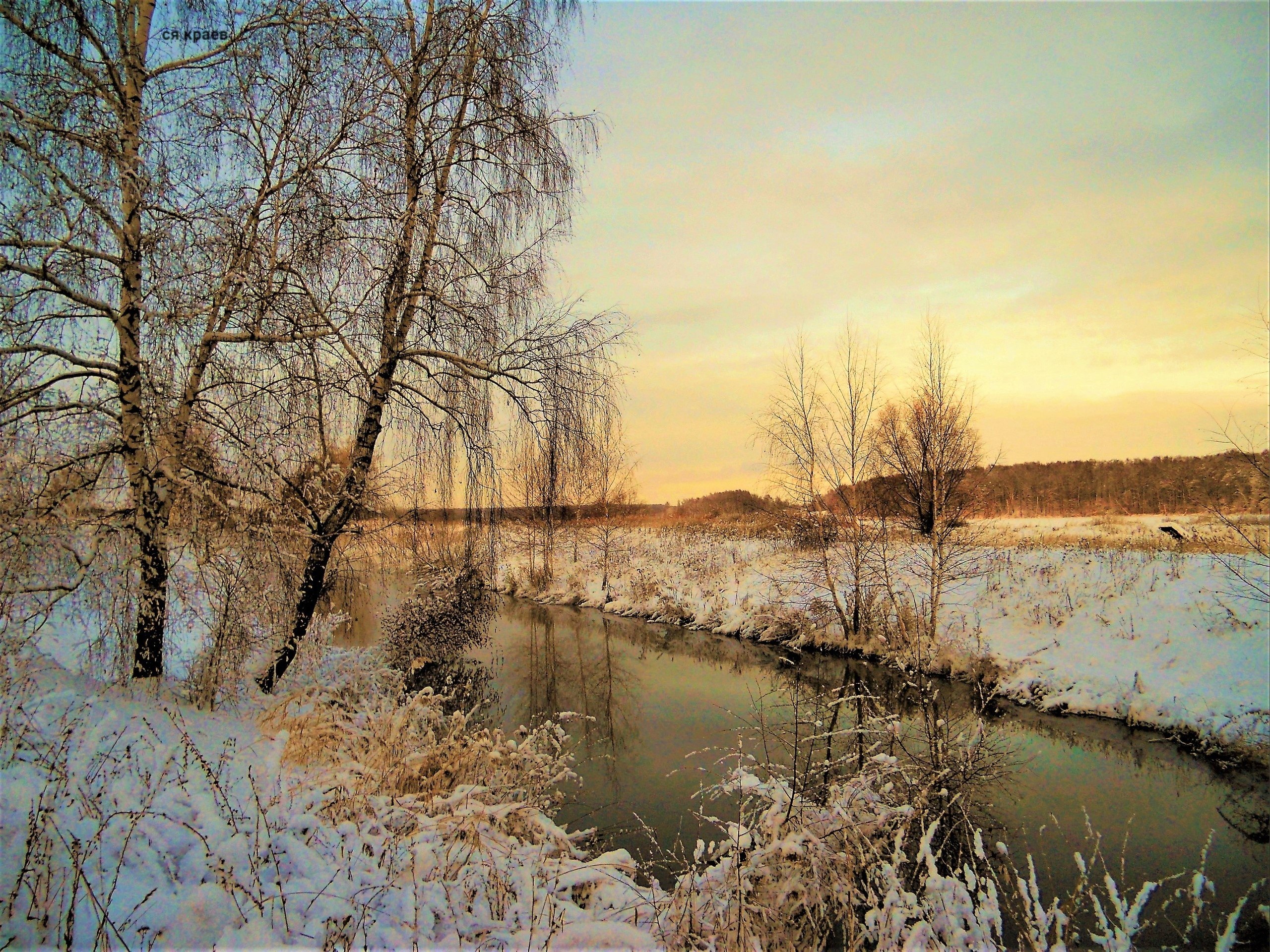 Фото сергея краева