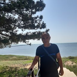 , 55 , 