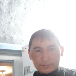Руслан, 33 года, Реутов