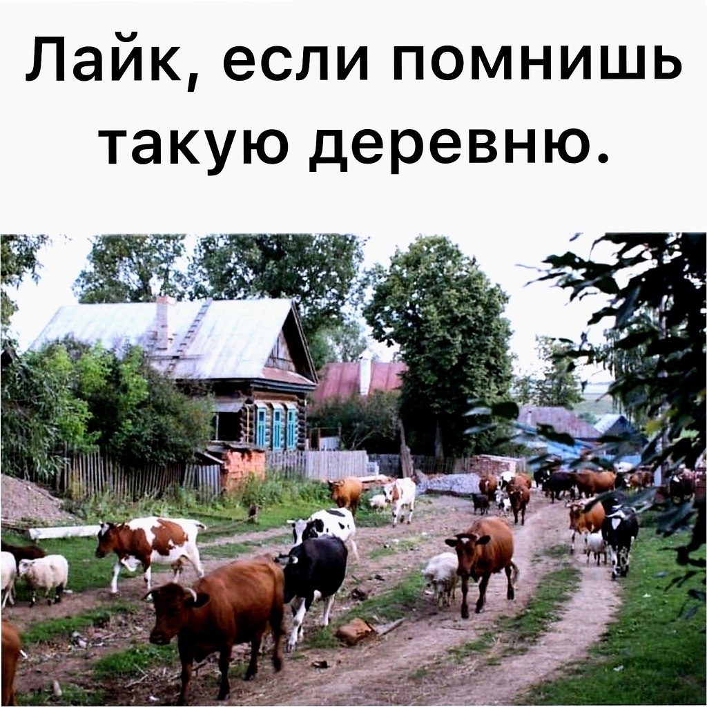 Картинка хорошо в деревне