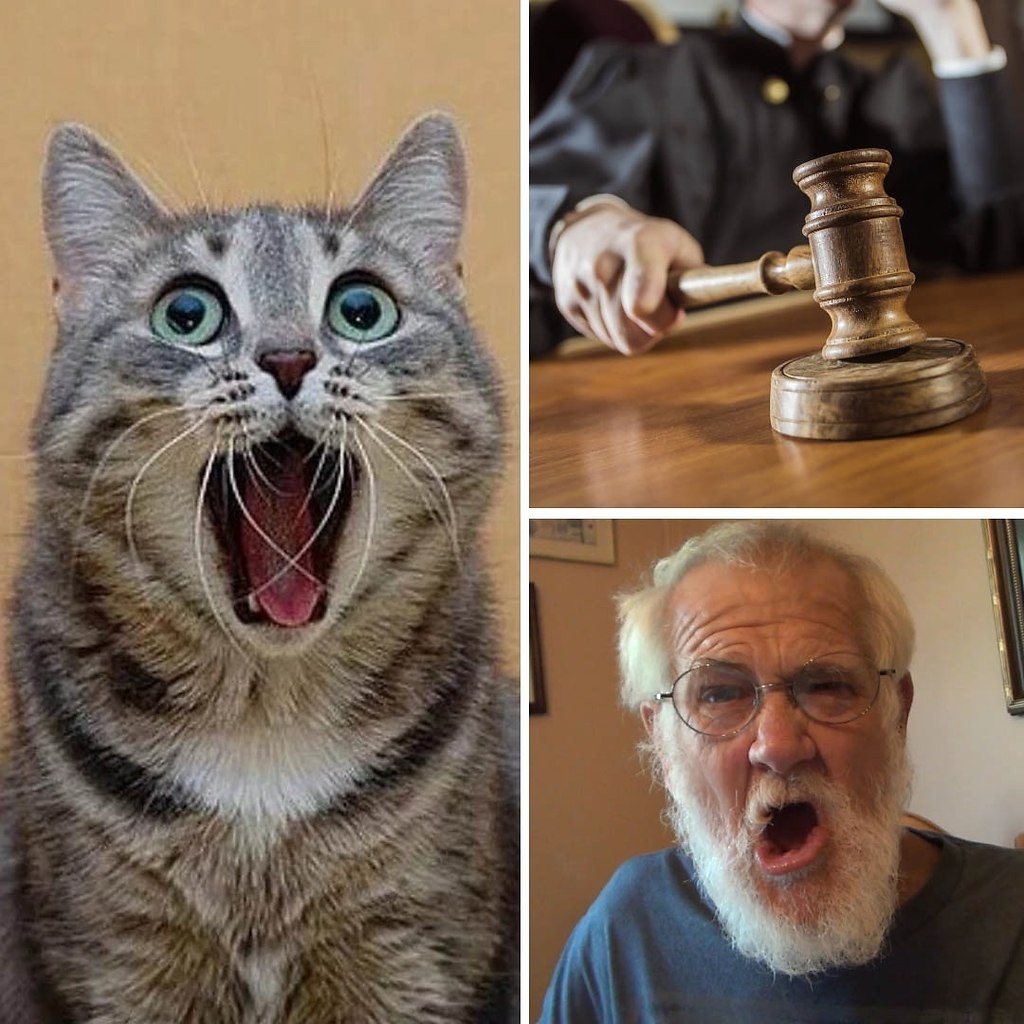 В Омске пенсионер через суд добился запрета на ... - Оптимист ...