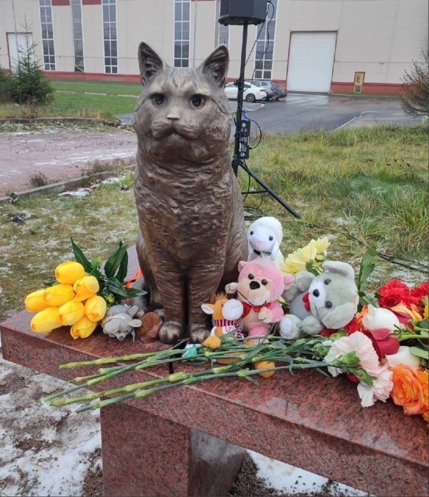 Кот который сидел на лавочке ему поставили памятник