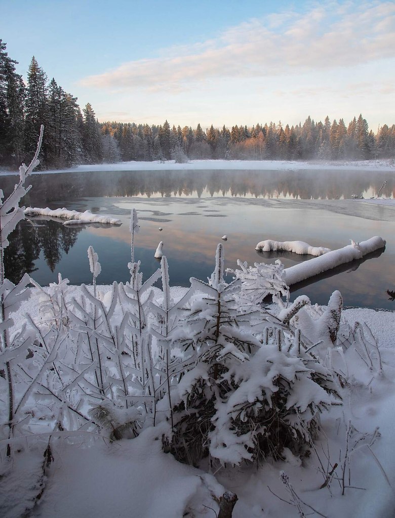 Теплое озеро суводь. Озеро теплое Кировская область. Незамерзающее озеро в Кировской области. Теплое озеро Кировская область Советский зимой.