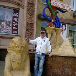       , 37 , 